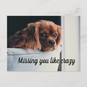 Carte Postale Chiot triste mignon qui vous manque terriblement
