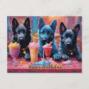 Carte Postale Chiots Berger Allemand N Milkshakes Anniversaire