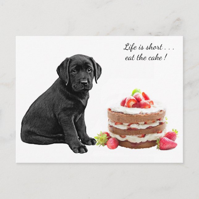 Carte Postale Chiots Black Lab - Anniversaire de Chien - Gâteau  (Devant)