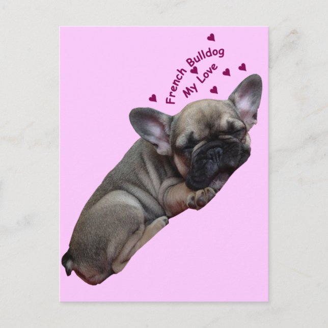 Carte Postale Chiots Bouledogue Français (Devant)