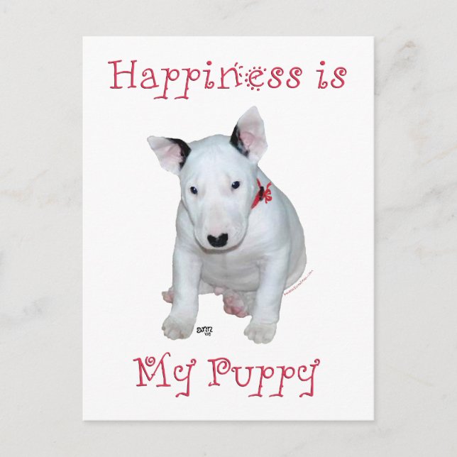 Carte Postale Chiots Bull Terrier (Devant)