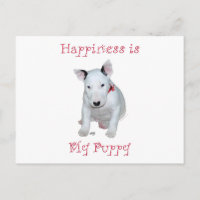 Chiots Bull Terrier