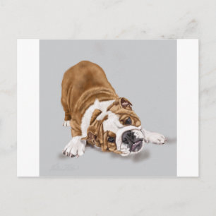 Carte Postale Chiots Bulldog Anglais au jeu