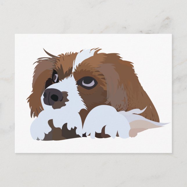 Carte Postale Chiots Cavalier King Charles Spaniel  (Devant)