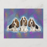 Chiots de Basset Hound