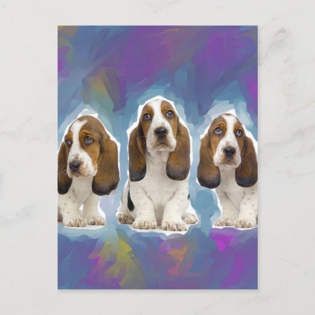 Carte Postale Chiots de Basset Hound (Devant)