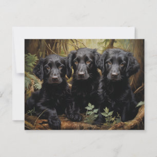 Carte Postale Chiots de récupération à revêtement plat