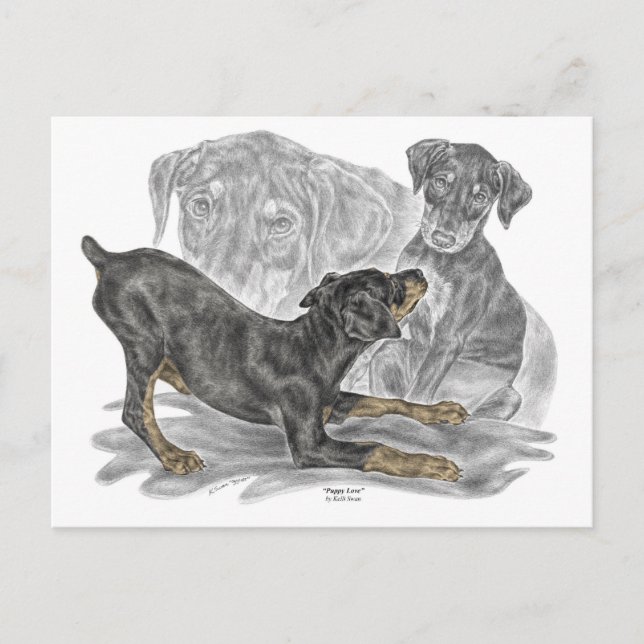 Carte Postale Chiots Doberman Pinscher (Devant)