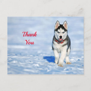 Carte Postale Chiots Husky dans la neige Merci