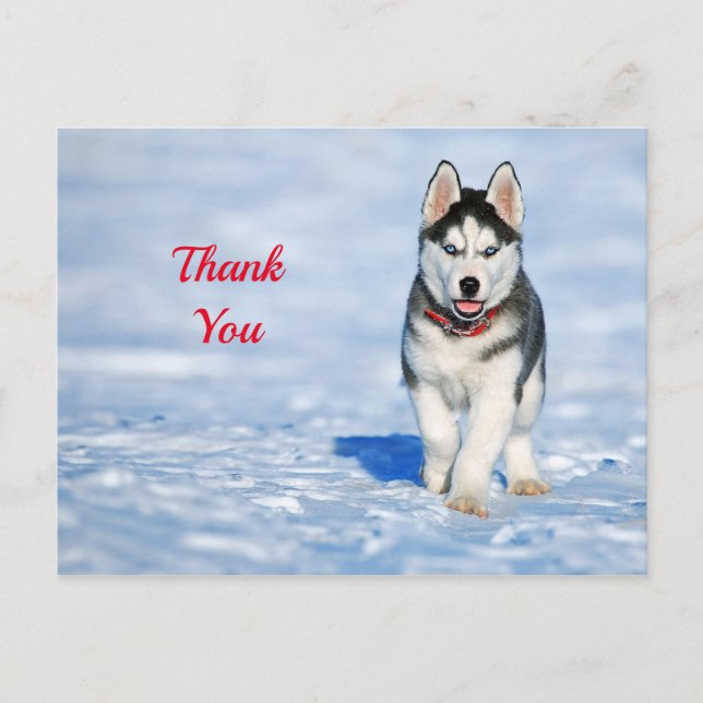 Carte Postale Chiots Husky dans la neige Merci (Devant)