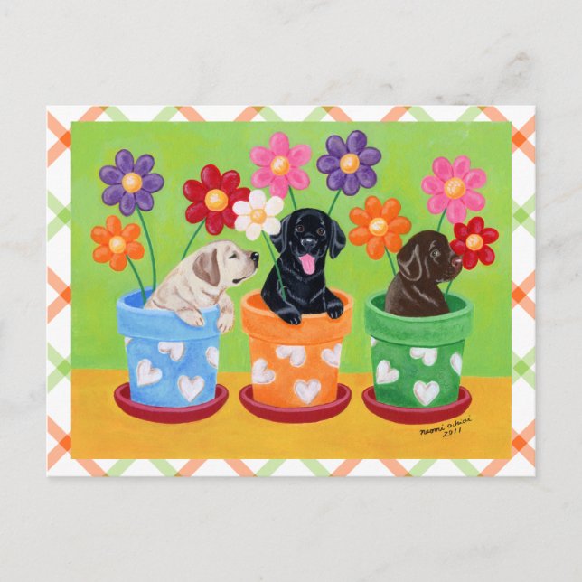Carte Postale Chiots Labrador en Pot de Fleurs (Devant)