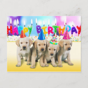 Carte Postale Joli Chiot D Anniversaire Zazzle Fr