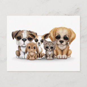 Carte Postale Chiots mignons, Kitten et Bunny Portrait pour anim
