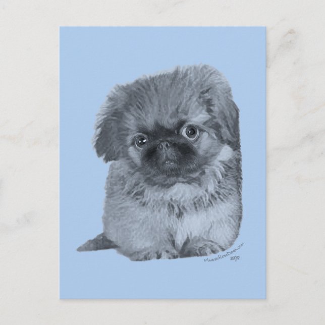 Carte Postale Chiots Pékinois Bleu (Devant)