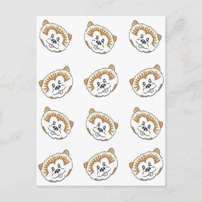 Carte Postale Chiots Spitz Nain (Devant)