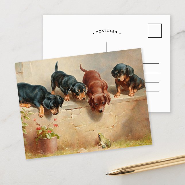 Carte Postale Chiots teckel curieux | Carl Reichert (Créateur téléchargé)