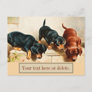 Carte Postale Chiots Teckel Rétro Drôle Mignon Personnalisé Vint