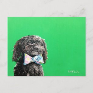 Carte postale Chip Tzu Yorkie Chip - Chip