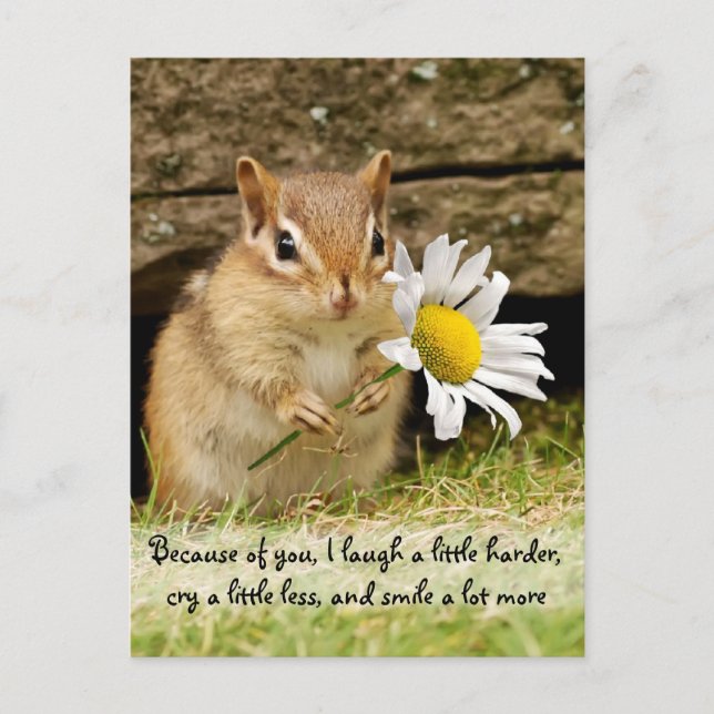 Carte Postale Chipmunk bébé adorable avec citation d'amitié (Devant)