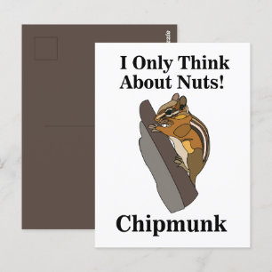 Carte Postale Chipmunk Rodent Funny