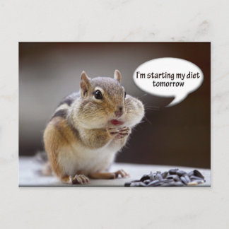 Carte Postale Chipmunk sur une photo de la diète