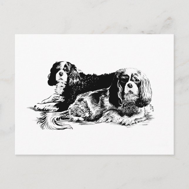 Carte postale Chloe et Ollie (Devant)