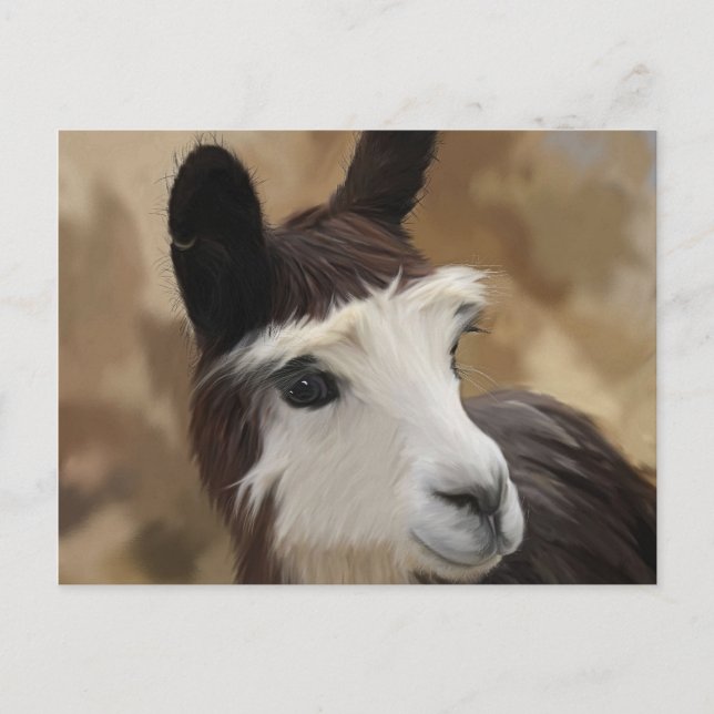 Carte Postale Chocolat et Alpaca blanc (Devant)