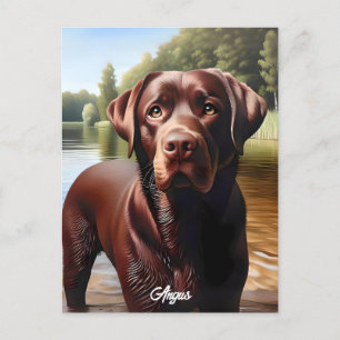 Carte Postale Chocolat Labrador et lac