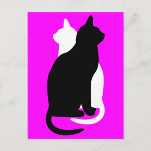 Carte Postale Choisir Couleur Noir Blanc Chat Duo Yin Yang Style