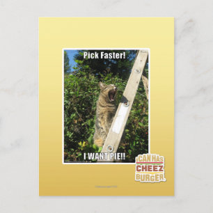 Carte Postale Choisissez Plus Rapidement !