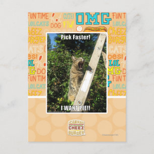 Carte Postale Choisissez Plus Rapidement !