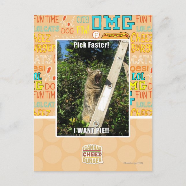 Carte Postale Choisissez Plus Rapidement ! (Devant)