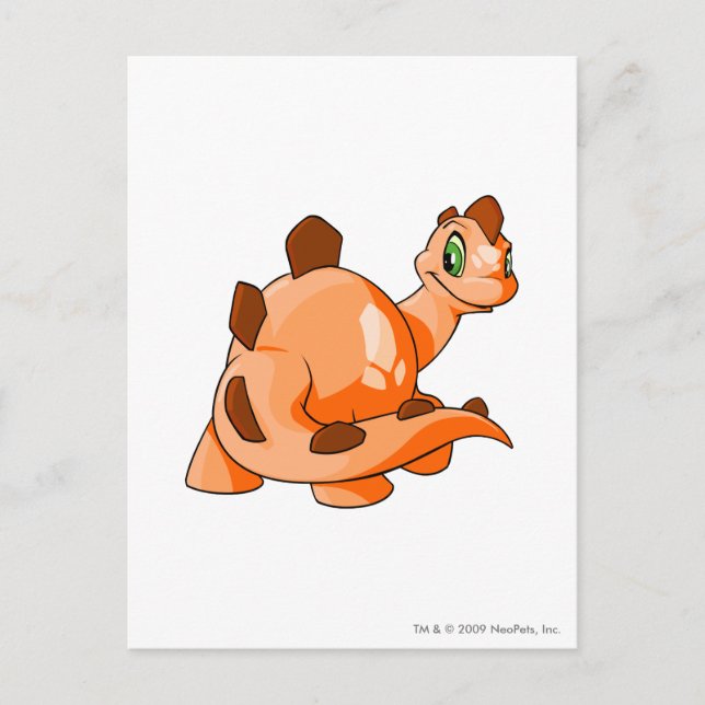 Carte Postale Chomby Orange (Devant)