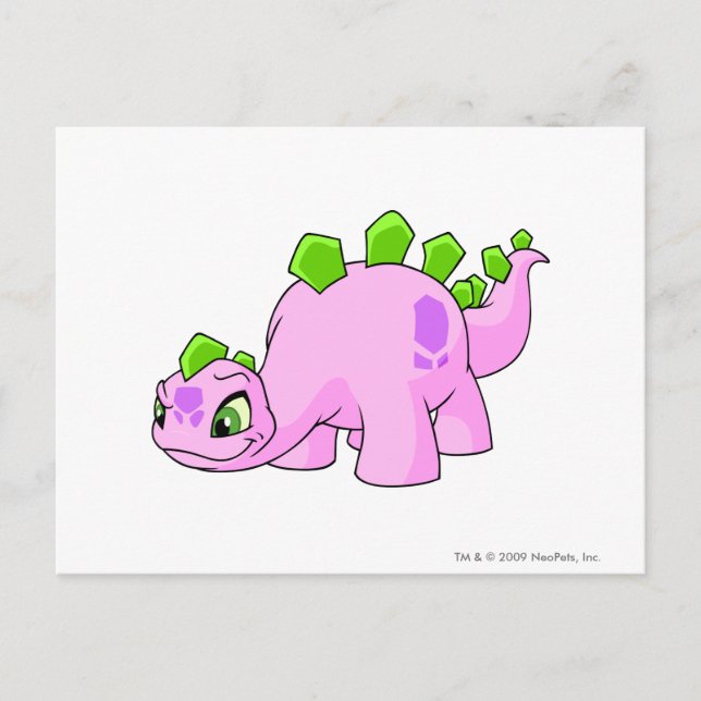 Carte Postale Chomby rose (Devant)