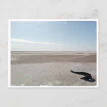 Chott el Djerid (Tunisie)