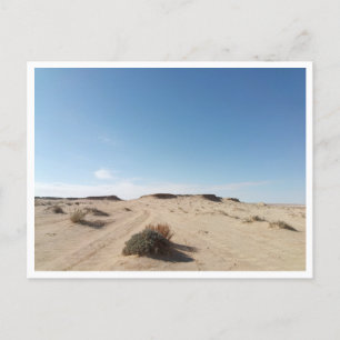 Carte Postale Chott el Gharsa (Tunisie)