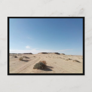 Carte Postale Chott el Gharsa (Tunisie)