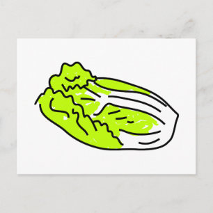 Carte Postale Chou chinois