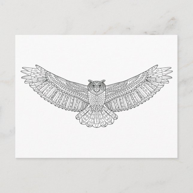 Carte Postale Chouette à aigle à motifs ethniques (Devant)