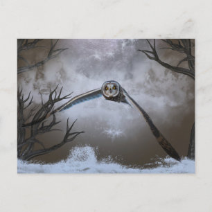 Carte Postale Chouette à oreilles courtes dans les Prairies de S