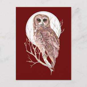 Carte Postale Chouette aquarelle personnalisée dans l'arbre, la