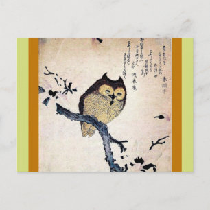 Carte Postale Chouette asiatique