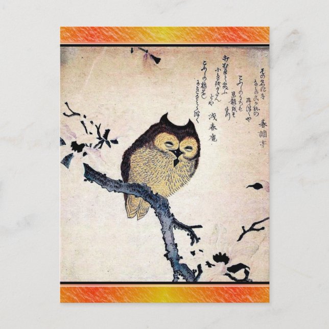 Carte Postale Chouette asiatique (Devant)