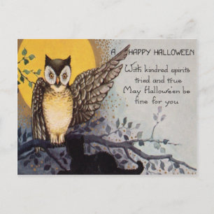 Carte Postale Chouette Chat Noir Pleine Lune Arbre Nuit