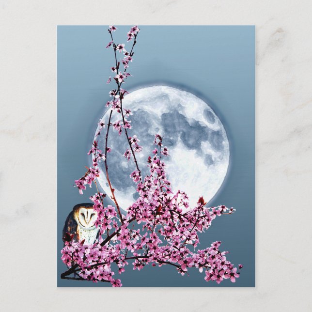 Carte Postale Chouette dans l'arbre du prune (Devant)