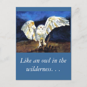 Carte Postale Chouette des neiges par Paula Atwell