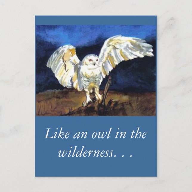 Carte Postale Chouette des neiges par Paula Atwell (Devant)