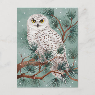 Carte Postale Chouette Effraie d'Hiver dans l'Arbre Art