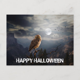 Carte Postale Chouette effrayante et Halloween de pleine lune