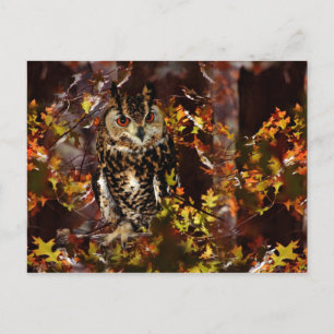 Carte Postale Chouette en automne